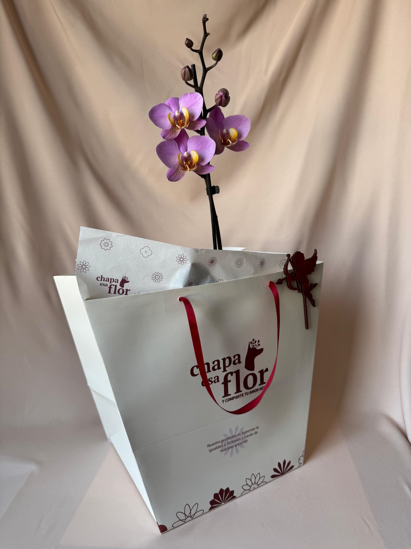 Orquídea Munaiki con piezas tulipa Tahua pottery