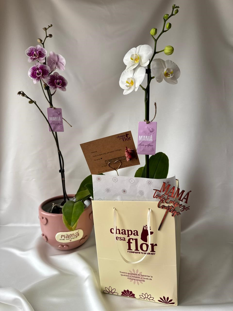 Orquídea Miski con piezas Mamás | Edición Mamá