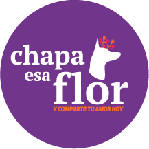 Chapa esa Flor