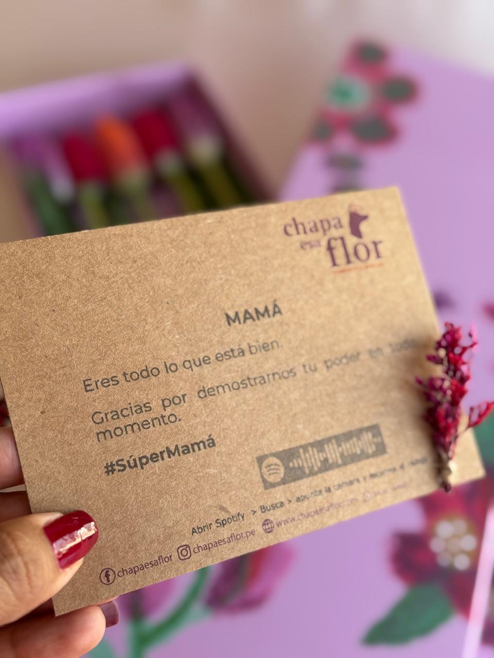Box Premium Mamá con 5 tulipanes multicolor