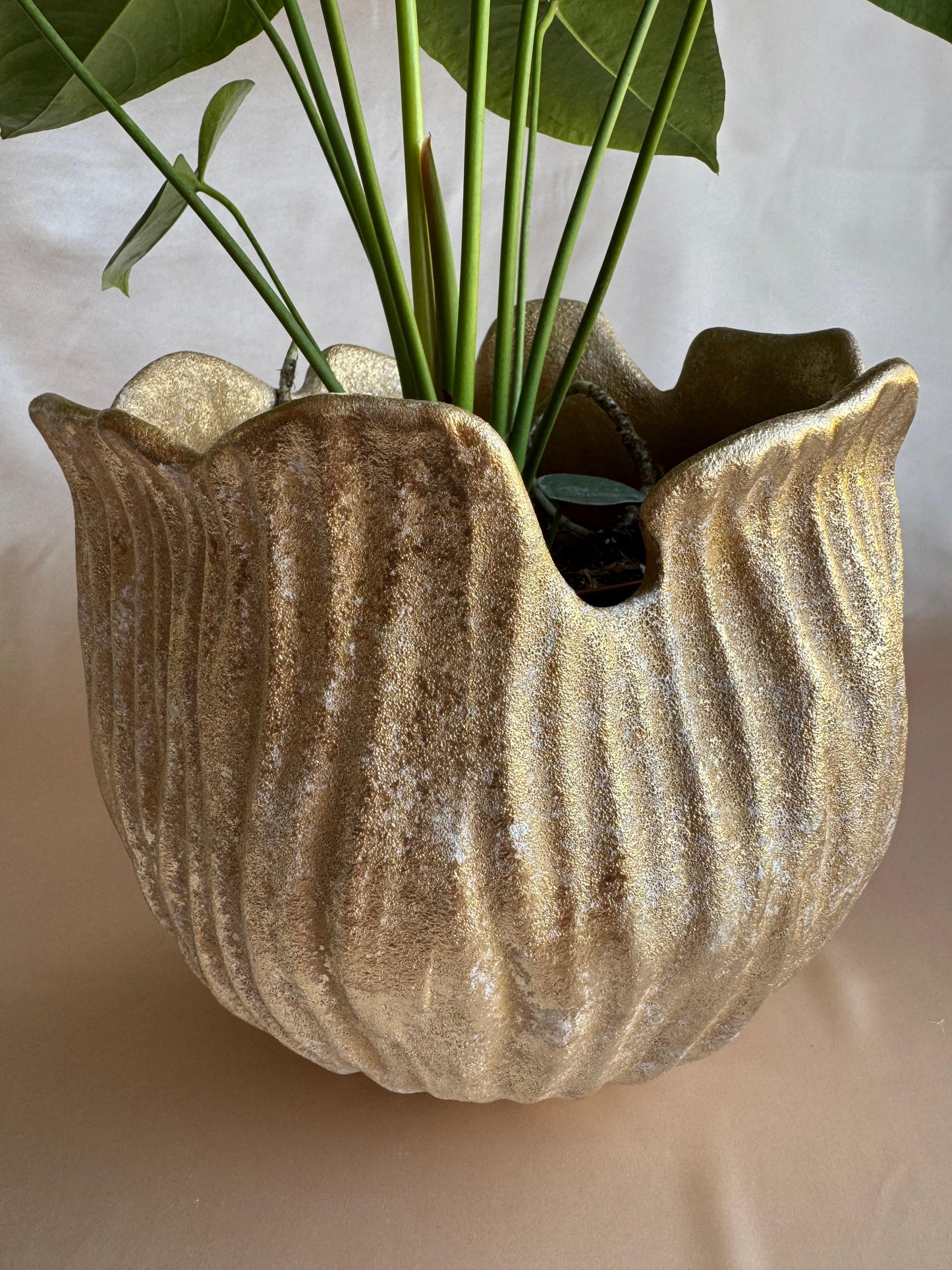 Anturios rojos Mamá con pieza tulipa dorada Tahua pottery