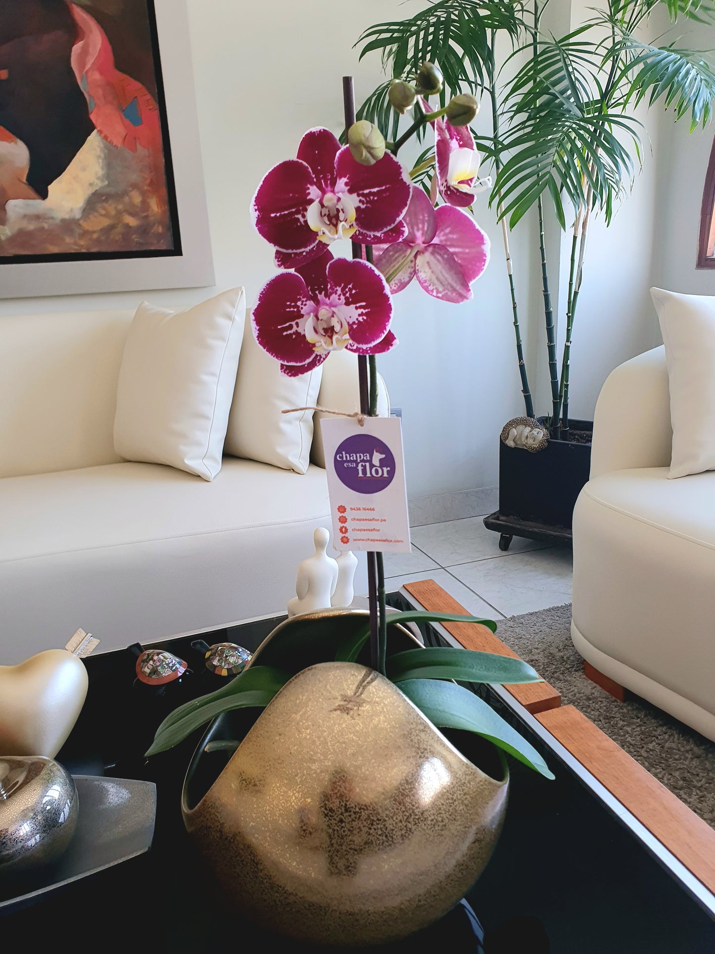 Orquídea Kallpa Pieza esfera droping dorado