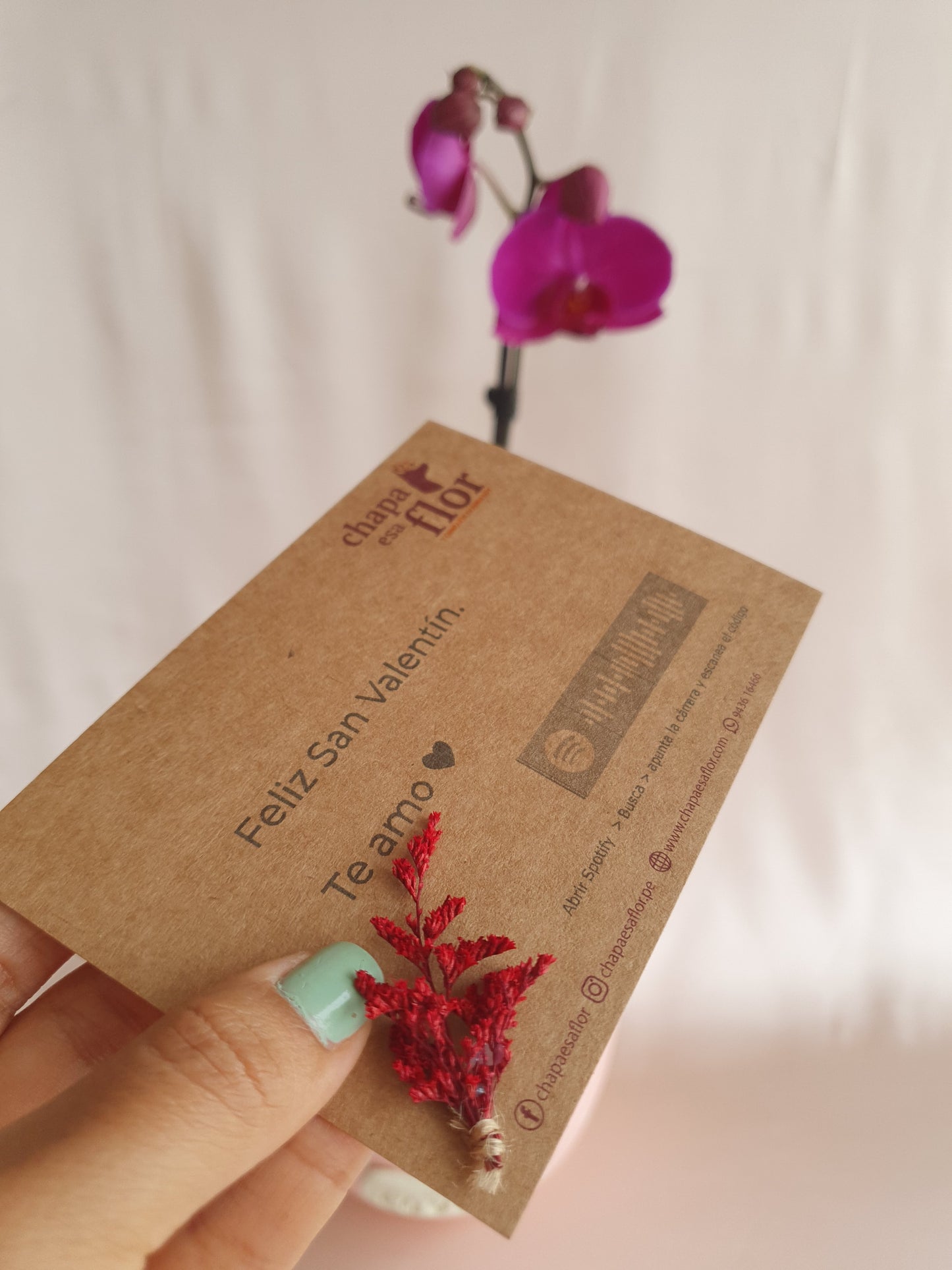 Orquídea Qispi Kay con pieza macareno multicorazones rojos