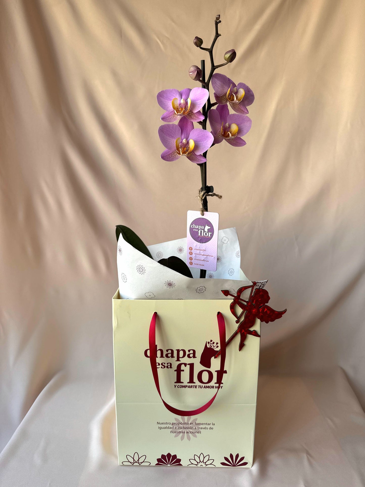 Orquídea Munaiki con pieza niña enamorada