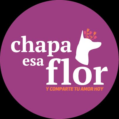 Chapa aniversario
