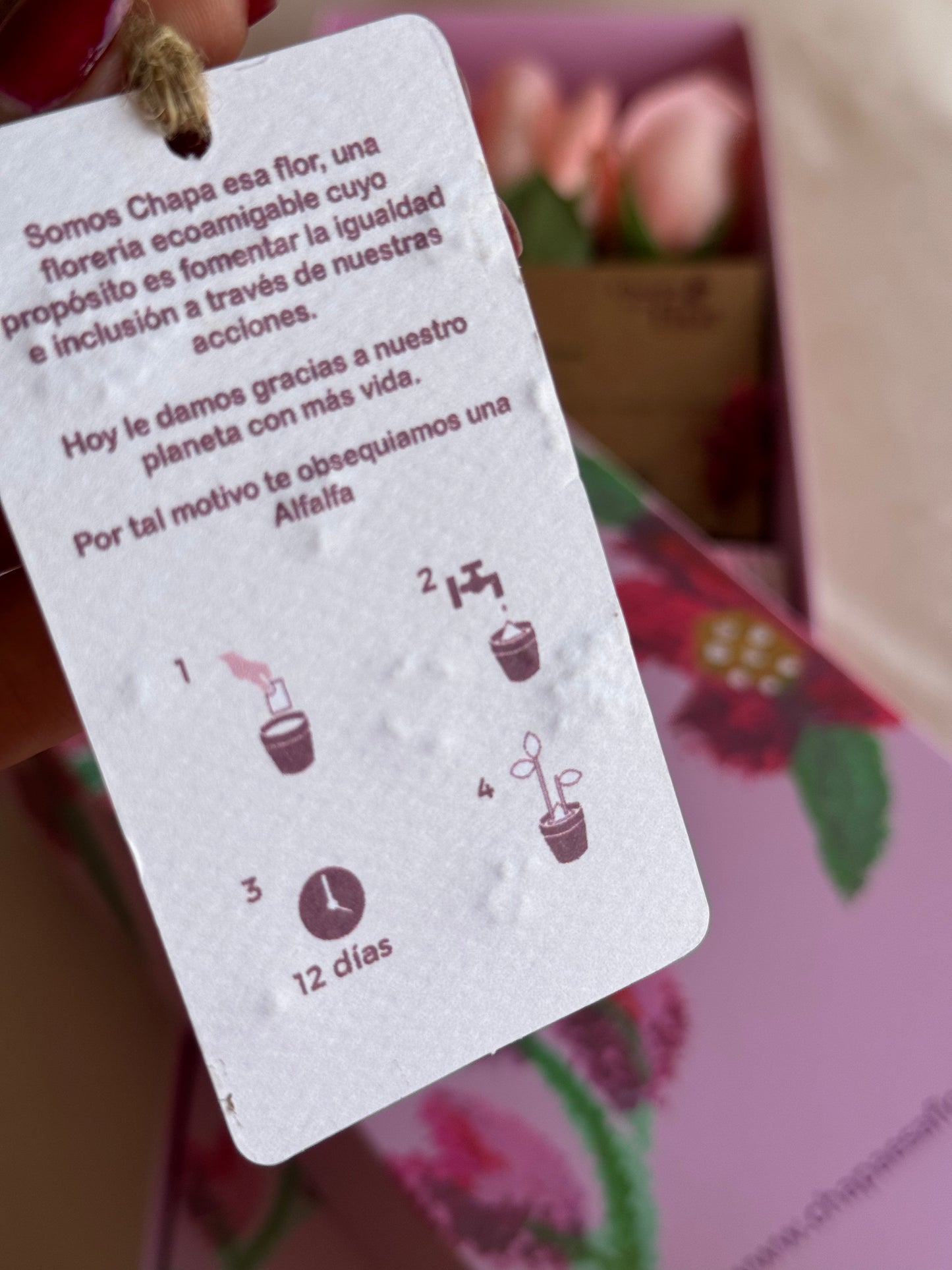 Box Premium Mamá con 3 rosas rosadas
