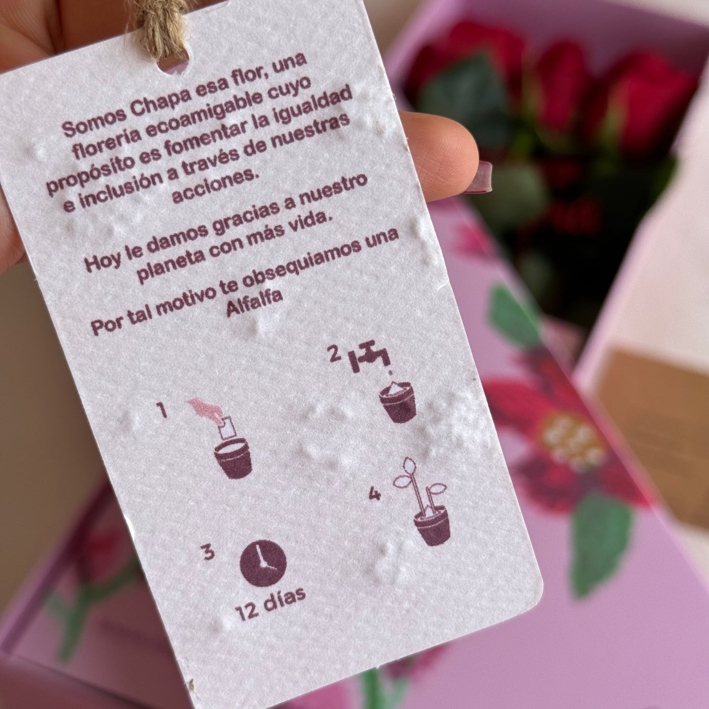 Box Premium Mamá con 3 rosas rojas