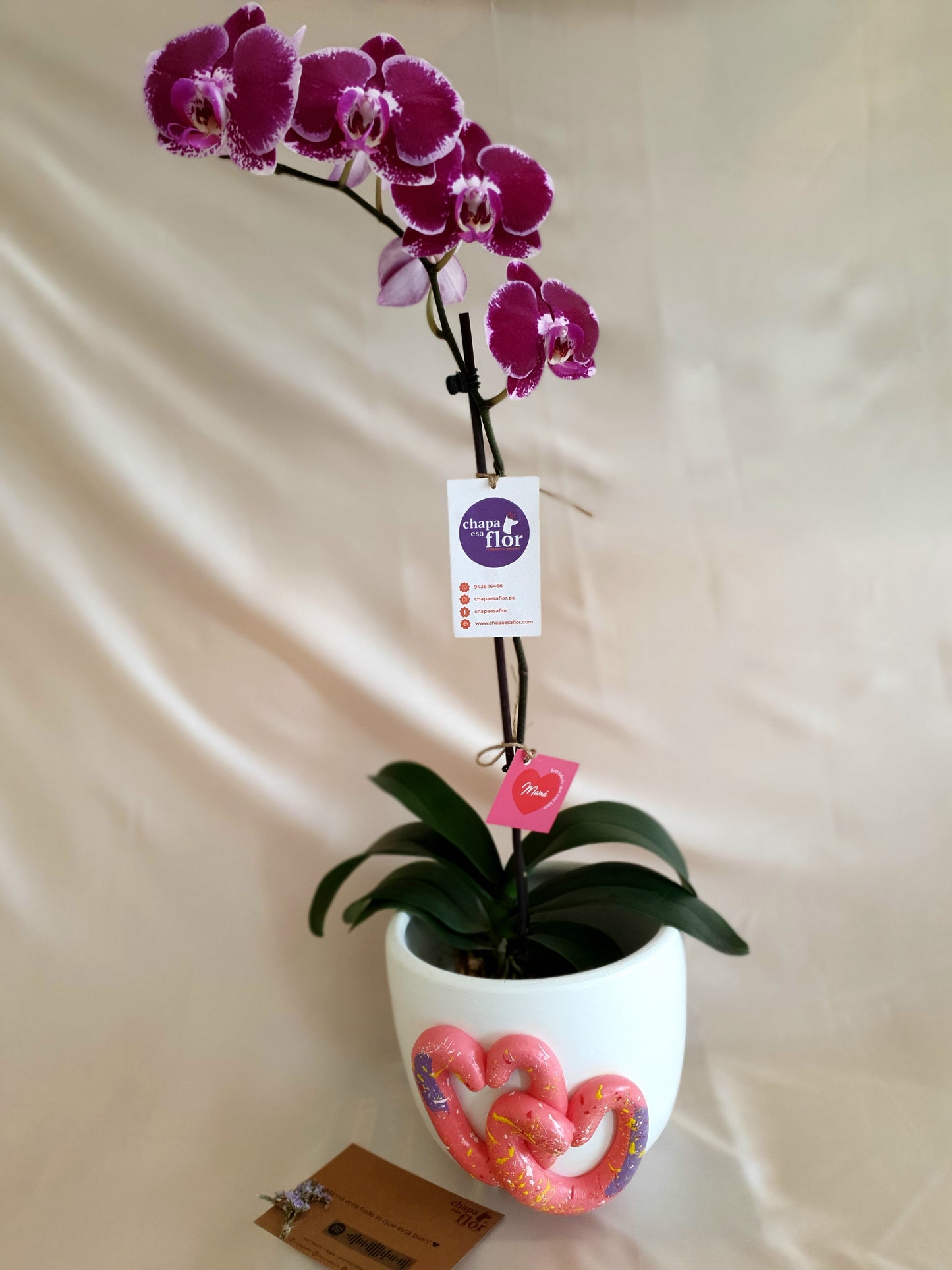 Orquídea Kallpa Pieza corazones entrelazados