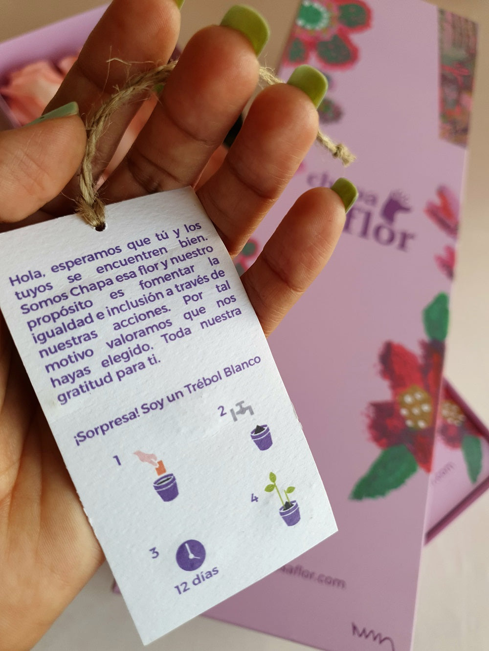 Box Premium con 6 rosas rojas