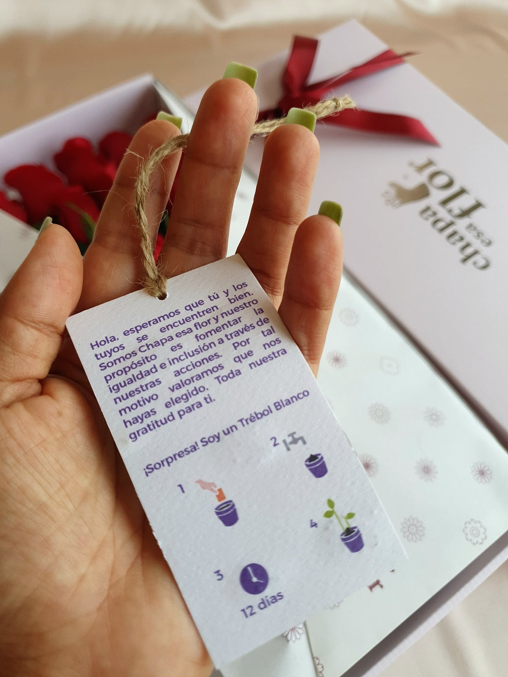 Box Premium con 12 rosas naranjas