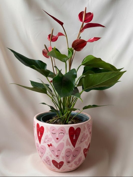 Anturio Rojo bandelora del amor en pieza macareno | Edición San Valentín