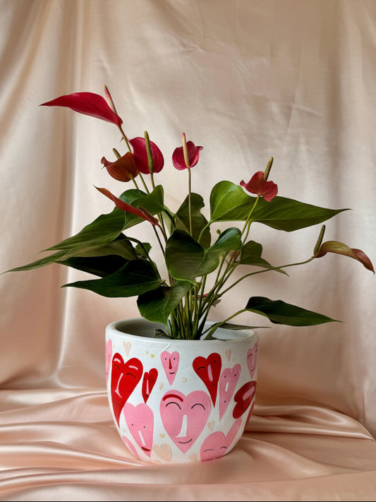 Anturio Rojo banderola en pieza macareno