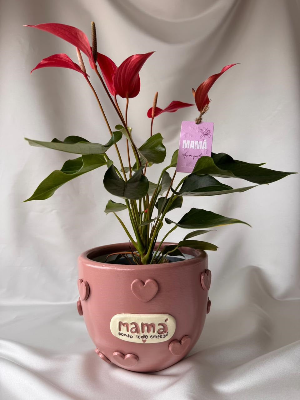 Anturio Rojo banderolas del amor en piezas Mamá | Edición Mamá