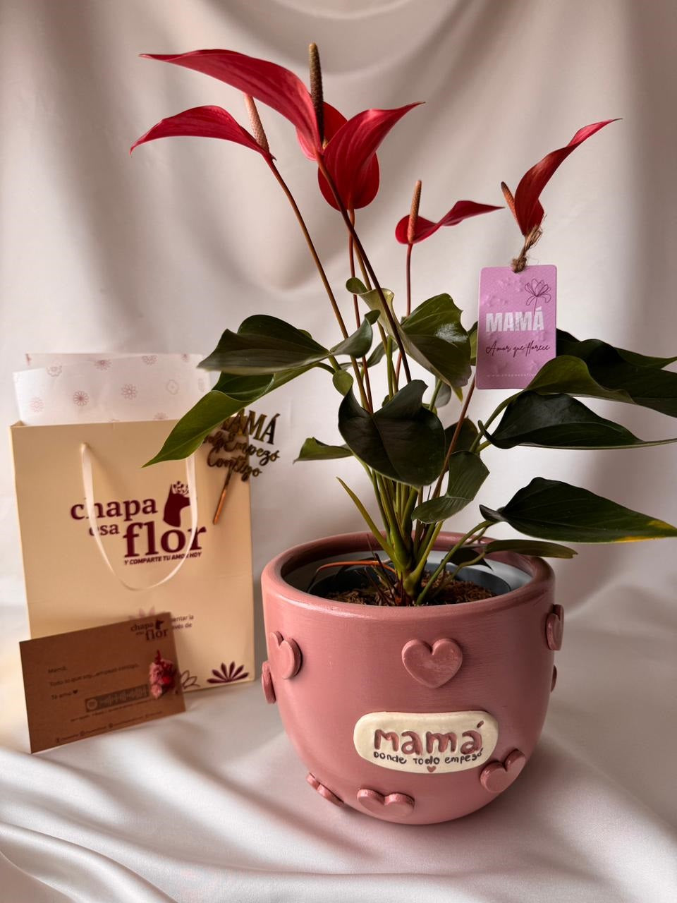 Anturio Rojo banderolas del amor en piezas Mamá | Edición Mamá
