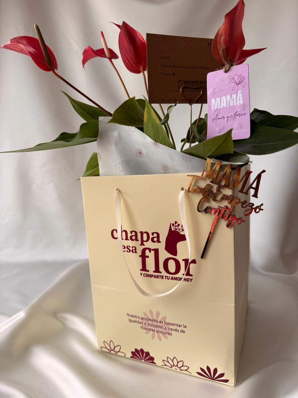 Anturio Rojo banderolas del amor en piezas Mamá | Edición Mamá