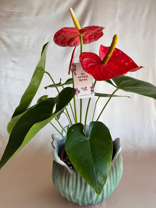 Anturios rojos Mamá con pieza tulipa turquesa Tahua pottery