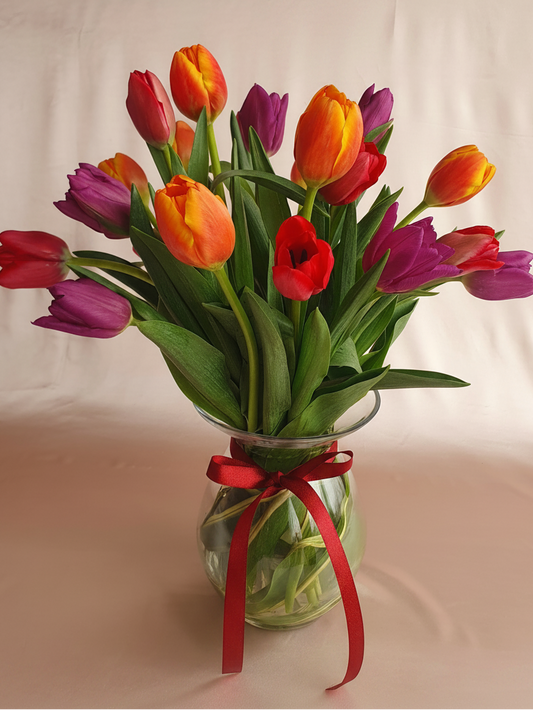 Arreglo – 20 Tulipanes multicolor | Edición San Valentín