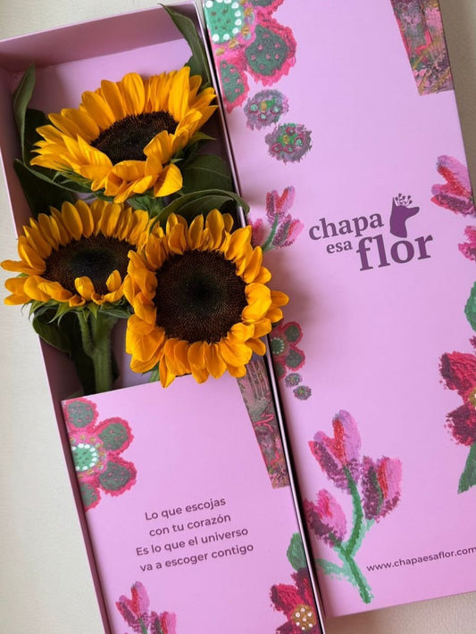 Box Premium con 3 girasoles