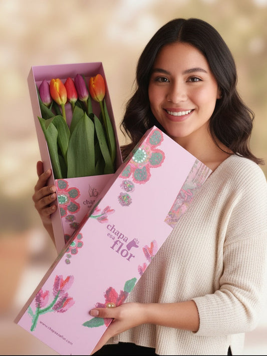 Box Premium con 5 tulipanes multicolor