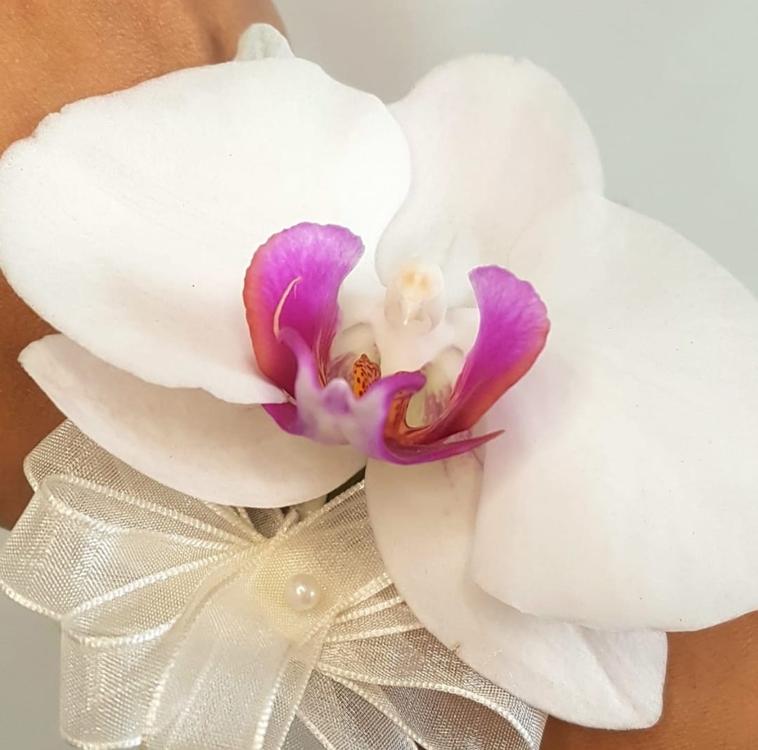 Corsage de Orquídea