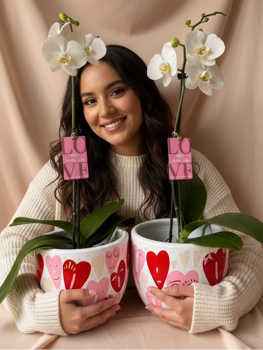 Orquídea Yuraq con piezas macareno corazones animados