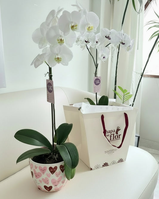 Orquídea Yuraq con pieza macareno multicorazones rojos