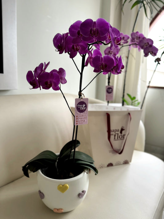 Orquídea Kulli con pieza macareno corazones pastel