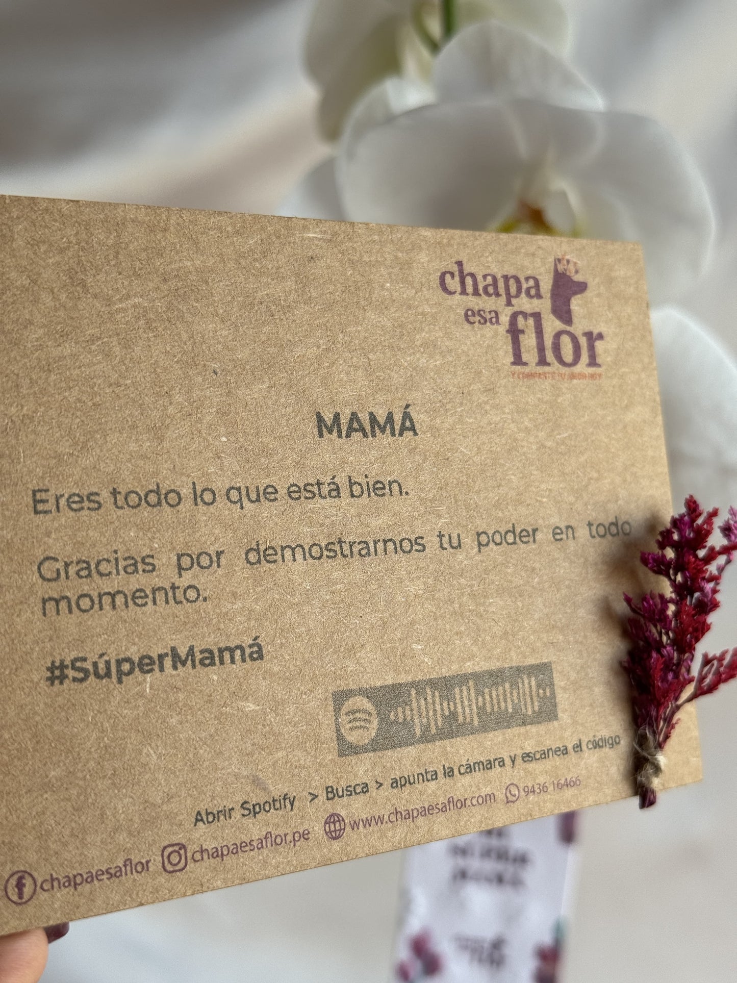 Orquídea Yuraq con pieza tulipa turquesa de Tahuapottery