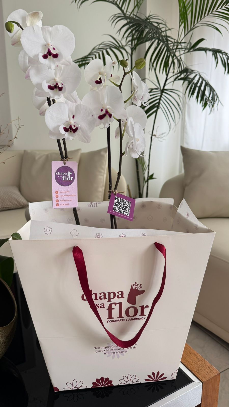 Orquídea Munay con pieza tulipa dorada de Tahuapottery