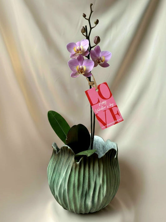 Orquídea Munaiki con piezas tulipa Tahua pottery