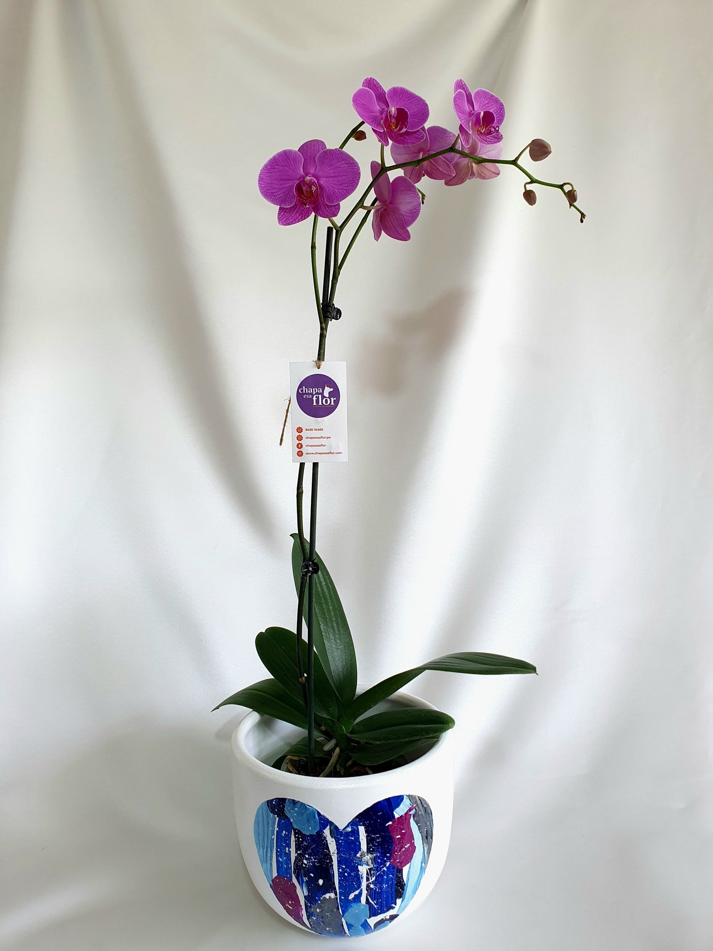 Orquídea Kulli con piezas pintadas