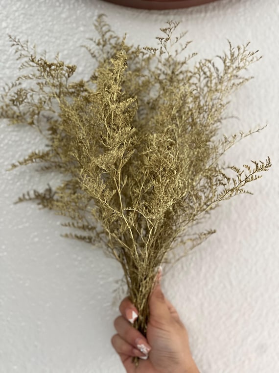 Adicional rosas lunarias y jaspia dorada natural seca