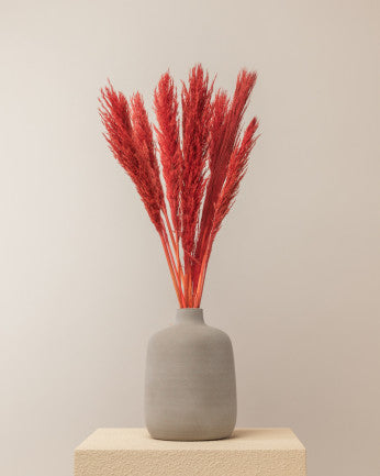 Eucalipto silver dollar y plumillas rojas secas