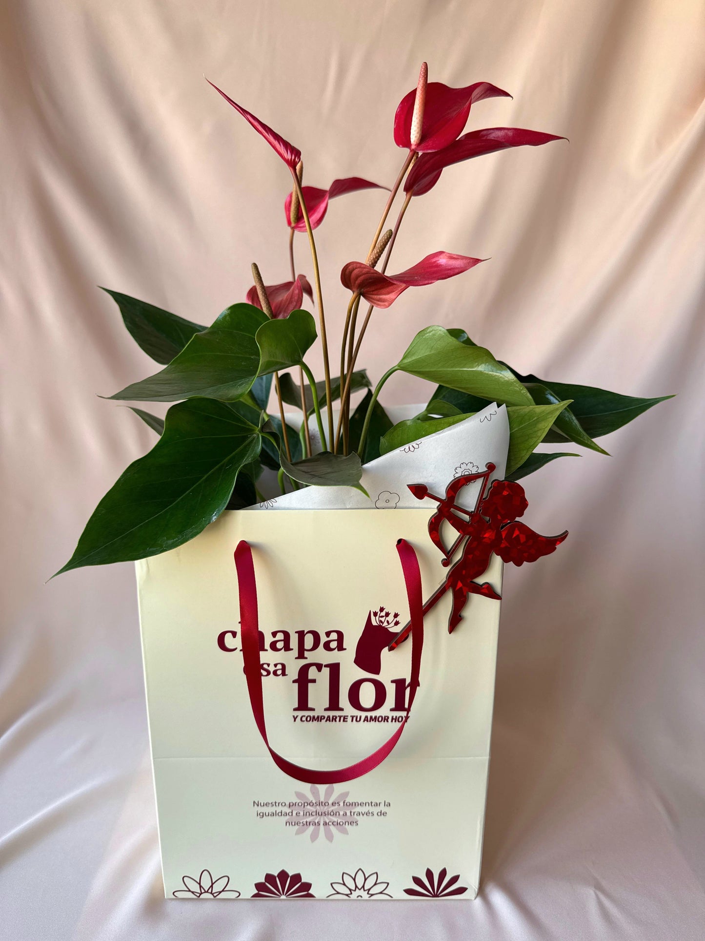 Anturio Rojo bandelora del amor en pieza macareno | Edición San Valentín