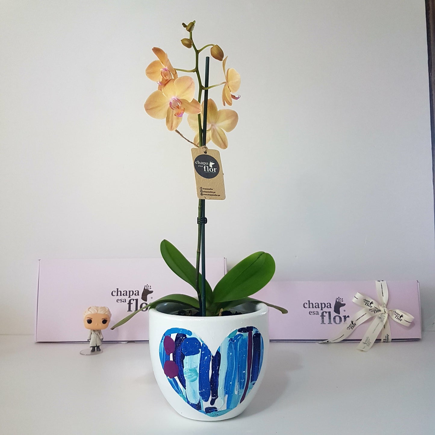 Orquídea Inti