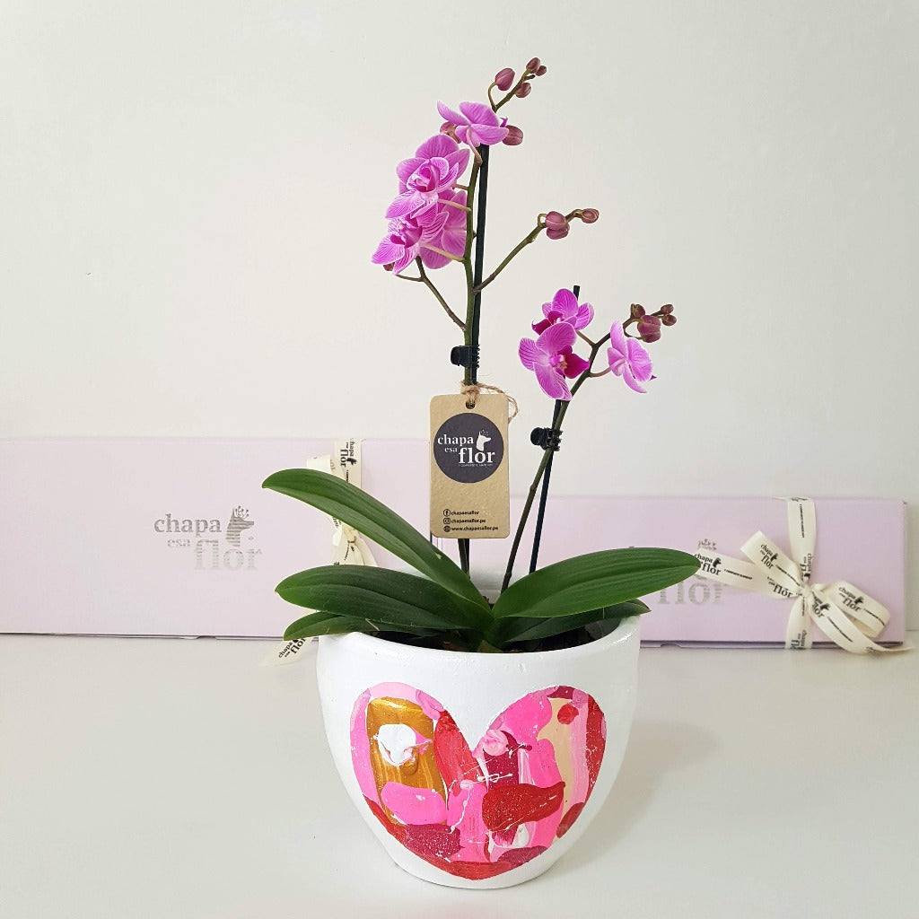 Mini Orquídea Qispi Kay doble vara