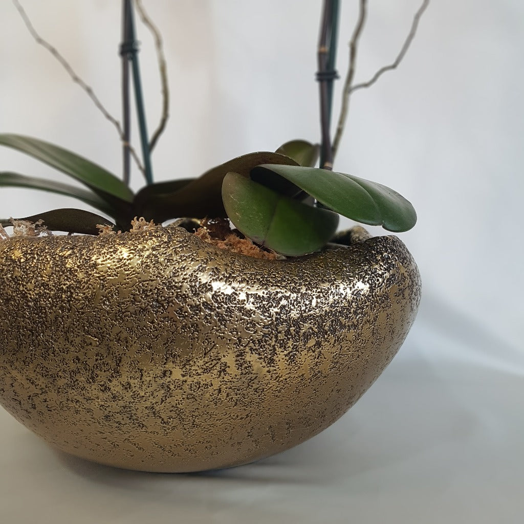 Arreglo de Orquídeas Aklla base Catch Pots by Tahua