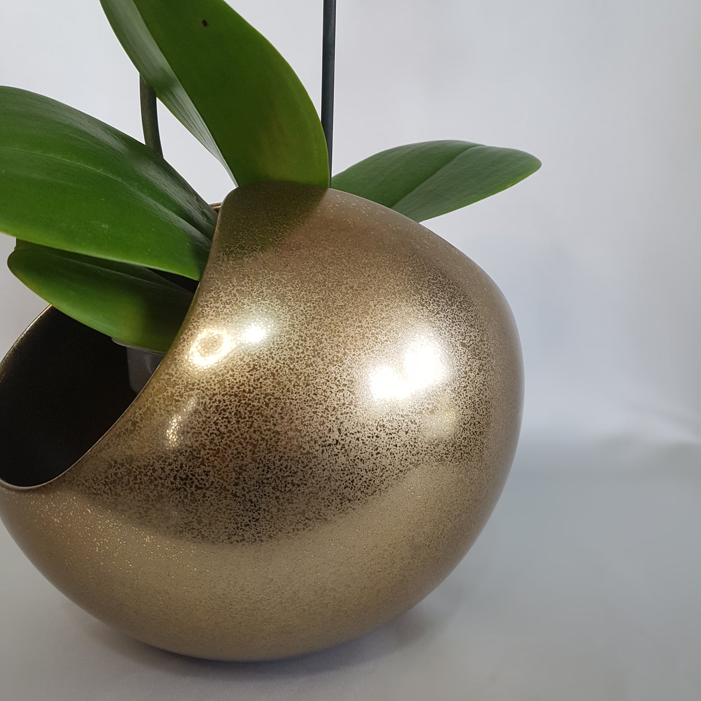 Pieza Porta Orquídeas tipo esfera acabado dorado