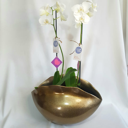 Dúo de Orquídeas Yuraq Centro de Mesa metalizado dorado