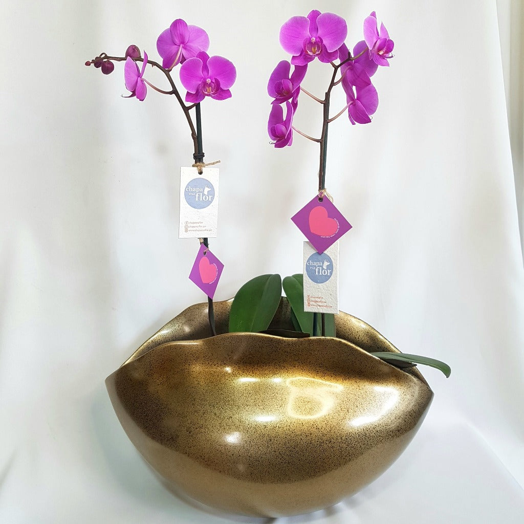 Dúo de Orquídeas Kulli Centro de Mesa metalizado dorado