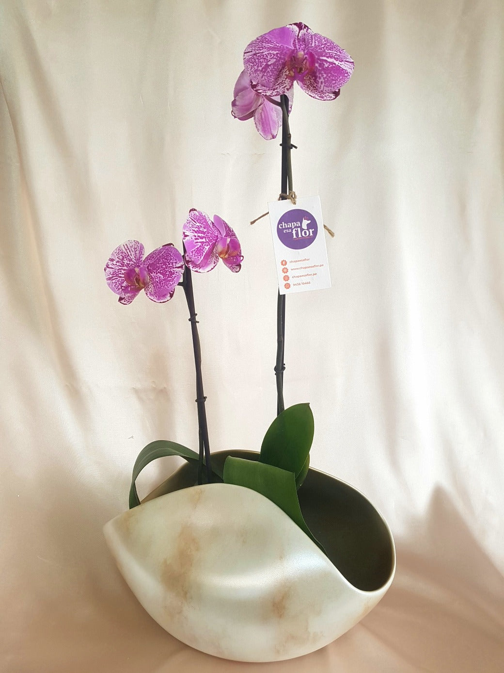 Orquídea Kulli 2 varas pieza metalizada plata - jaspeada