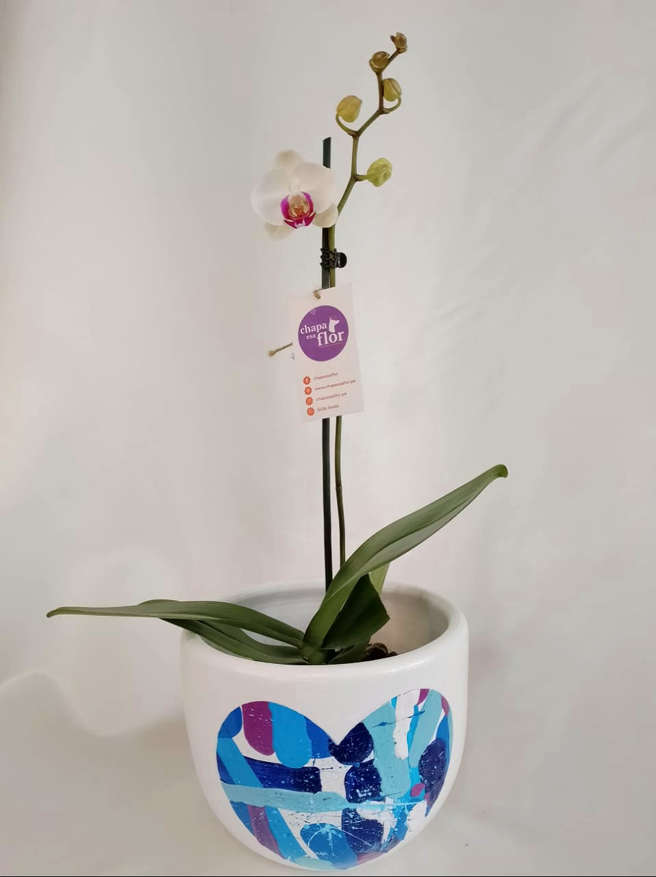 Orquídea Munay con piezas pintadas