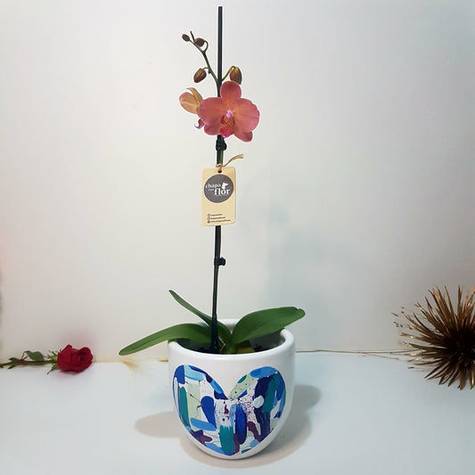 Orquídea Chisiyay